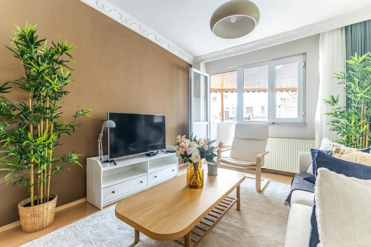 Cozy And Classy Flat Near Taksim Square In Beyoglu Apartment Istanbul Turkey